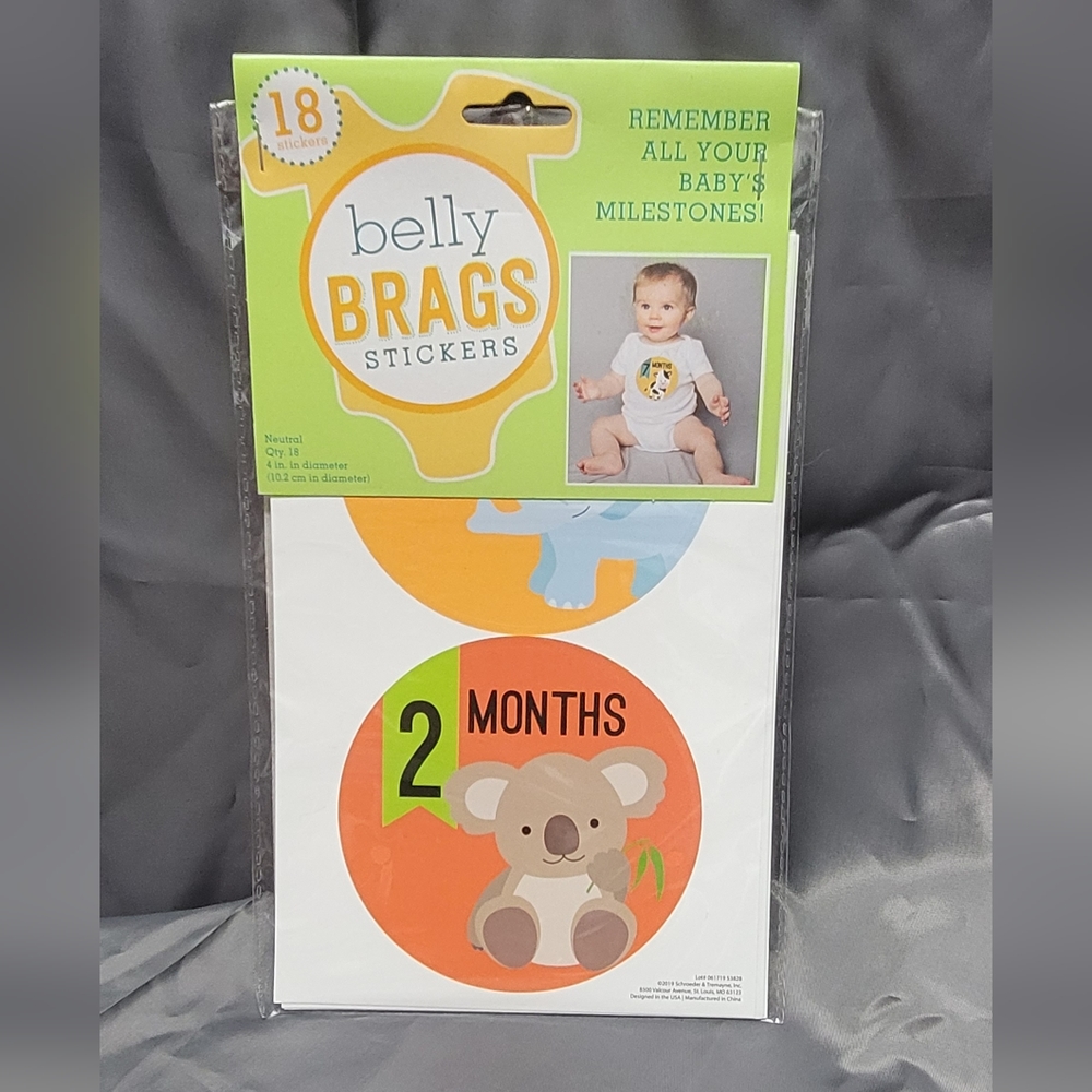 Baby milestone stickers for photos